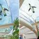 Illustration for article titled This Aquarium Is the Only Place On Earth Where Penguins Can Fly